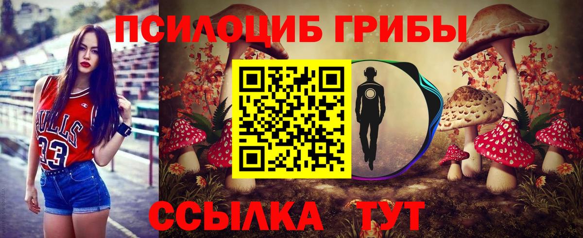Ульяновск  Псилоцибиновые грибы Magic Shrooms  Вход с VPN 